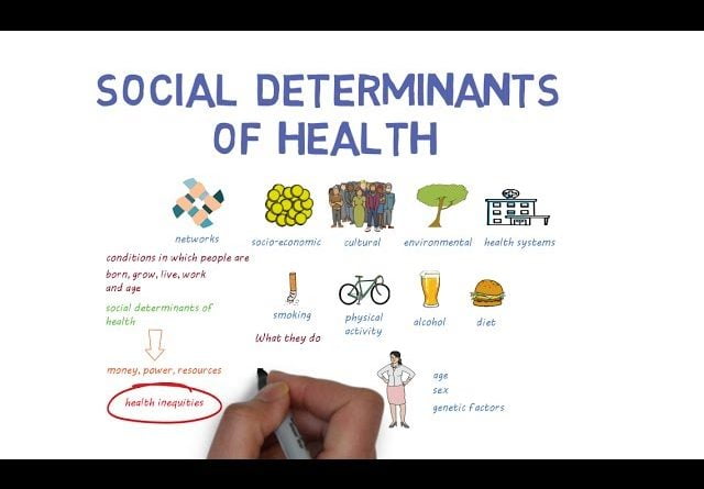 social-determinants-of-health-an-introduction-wellnesspositivevibes