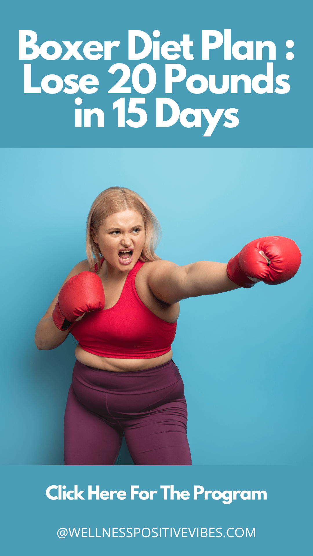 Boxer diet plan